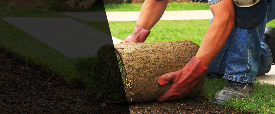 Apison Landscapers